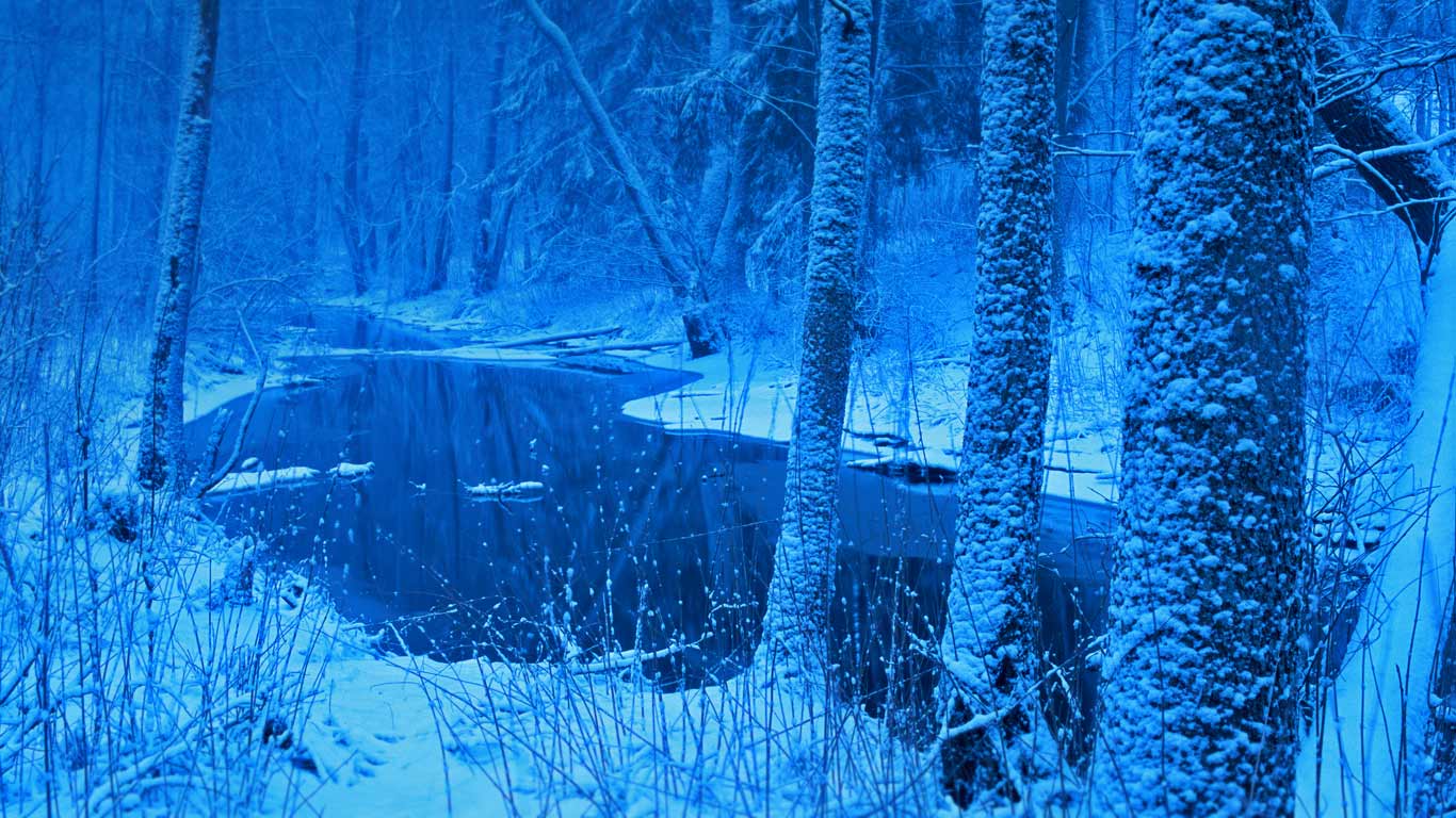波兰，比亚沃维耶扎原始森林中的Łutownia河 (© Johan Hammar/Naturbid/plainpicture)(Bing China)
