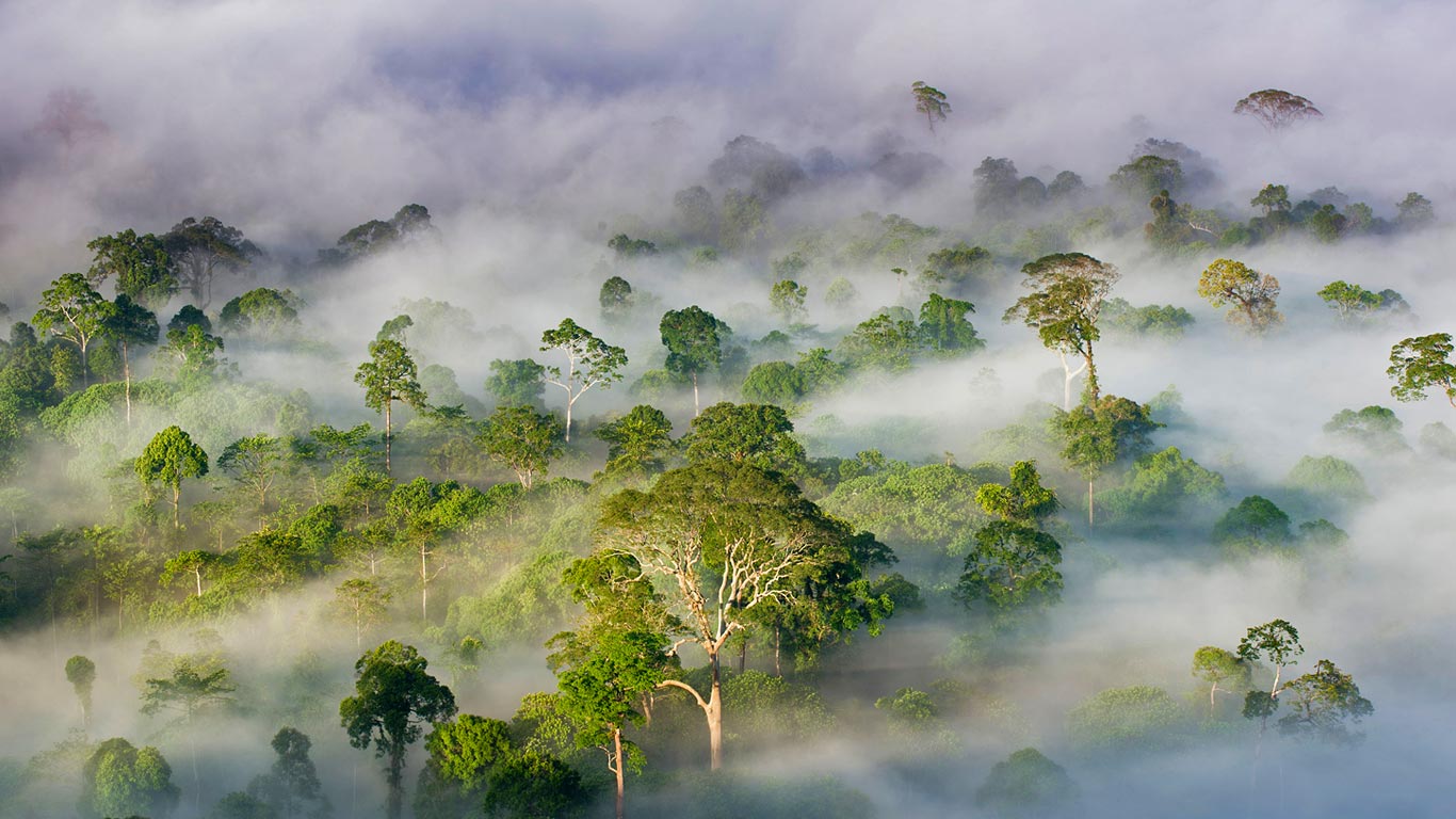 Danum Valley Conservation Area, Sabah, Malaysia (© Steve Bloom Images/Alamy)(Bing Canada)