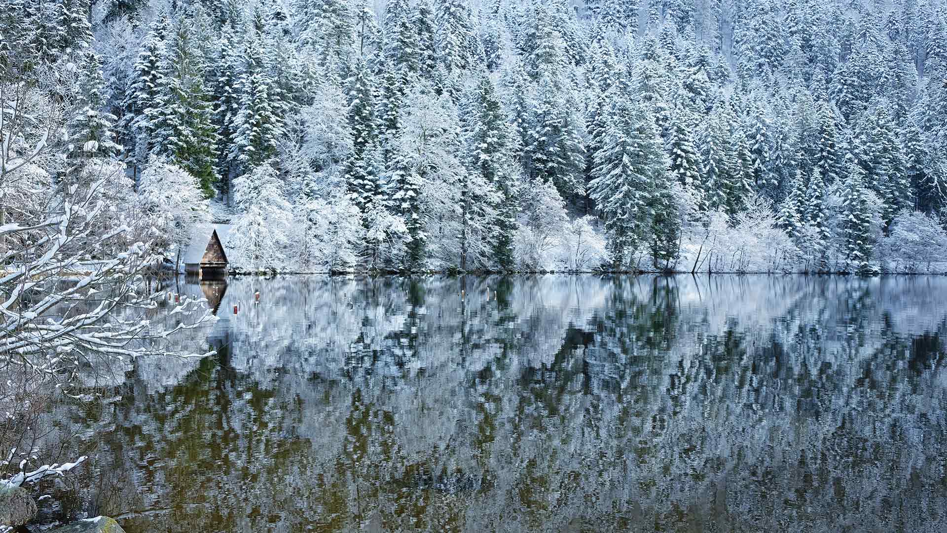 Le lac de Longemer dans les Vosges, Lorraine, France. (© art4stock/Shutterstock)(Bing France)
