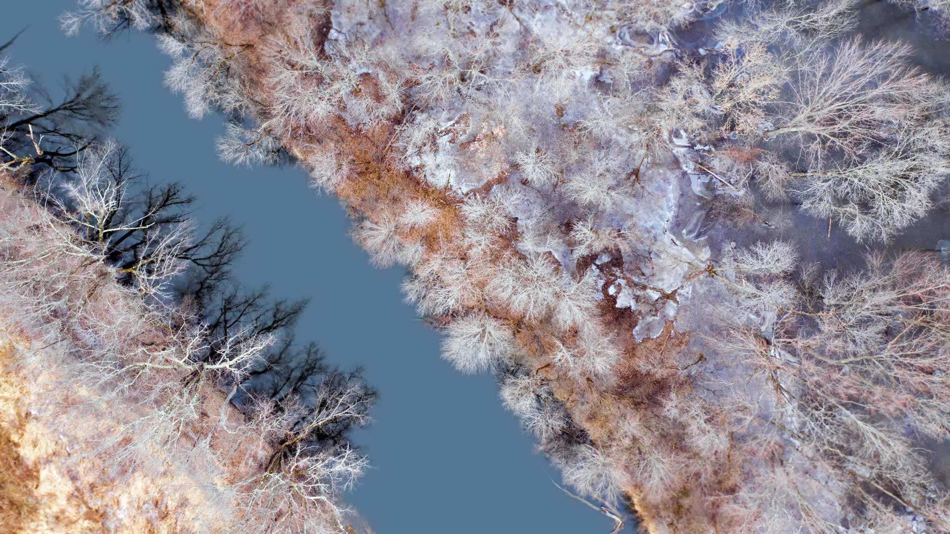 冬天的水獭溪，佛蒙特州布兰登 (© Caleb Kenna/Offset)(Bing China)