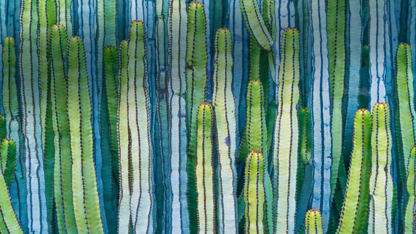 武伦柱 (© Ed Reardon/Alamy)(Bing China)