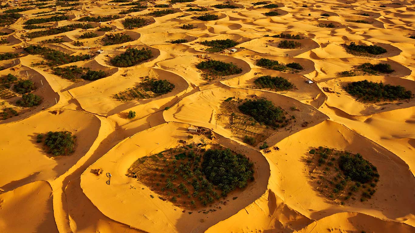 阿尔及利亚，提米蒙附近的沙漠绿洲 (© George Steinmetz/Corbis)(Bing China)