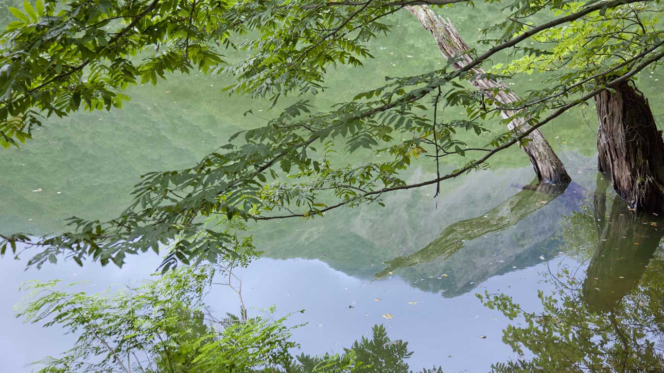 ｢鶏頭場の池｣青森, 白神山地 (© Clover/SuperStock)(Bing Japan)