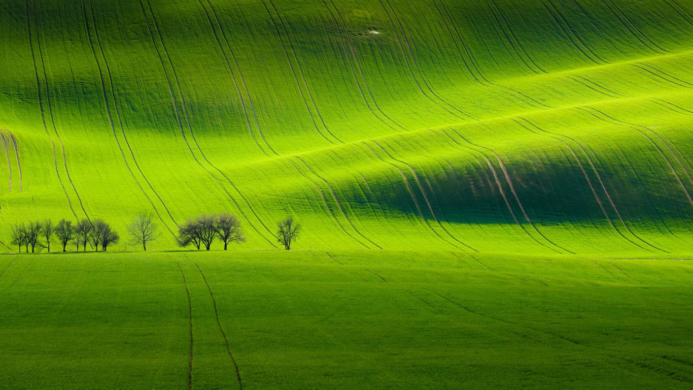 基约夫附近的南摩拉维亚风景，捷克共和国  (© Tomas Vocelka/500px)(Bing China)