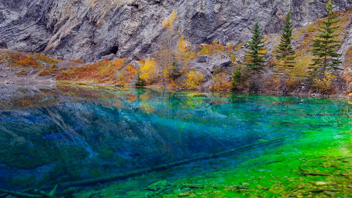 加拿大阿尔伯塔省坎莫尔附近，清水湖中的藻类 (© Gaertner/Alamy)(Bing China)