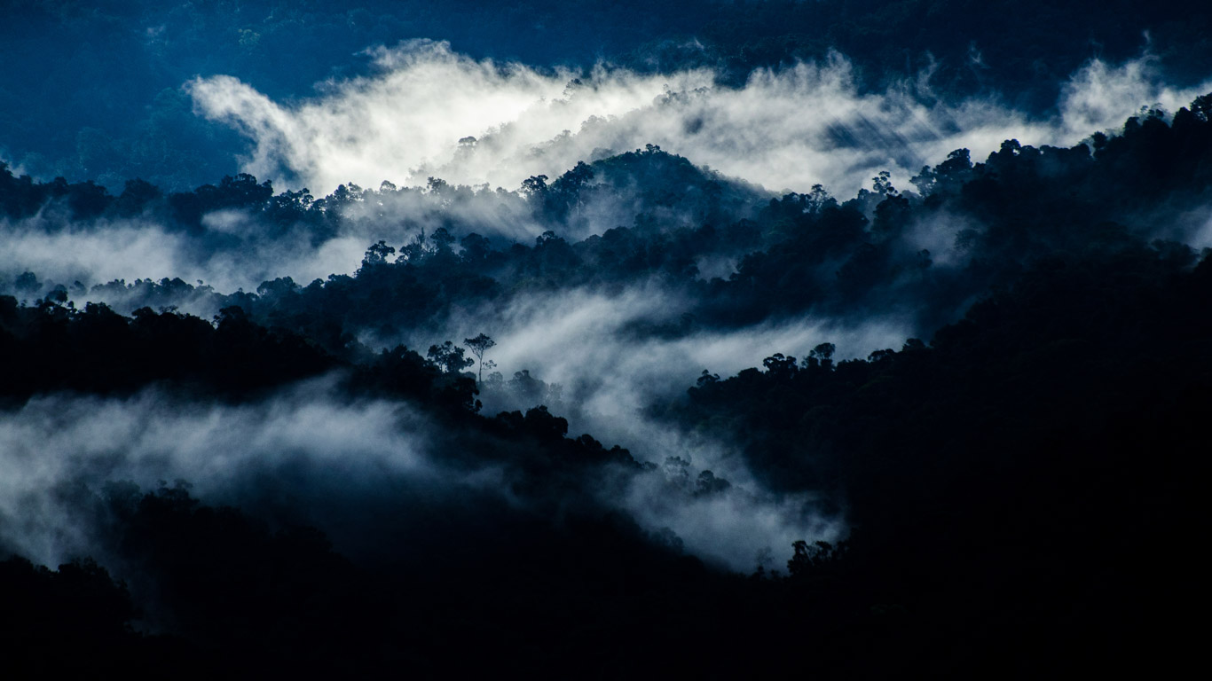 Rain forest near Valparai, Tamil Nadu, India (© Prasenjeet Yadav/Getty Images)(Bing New Zealand)