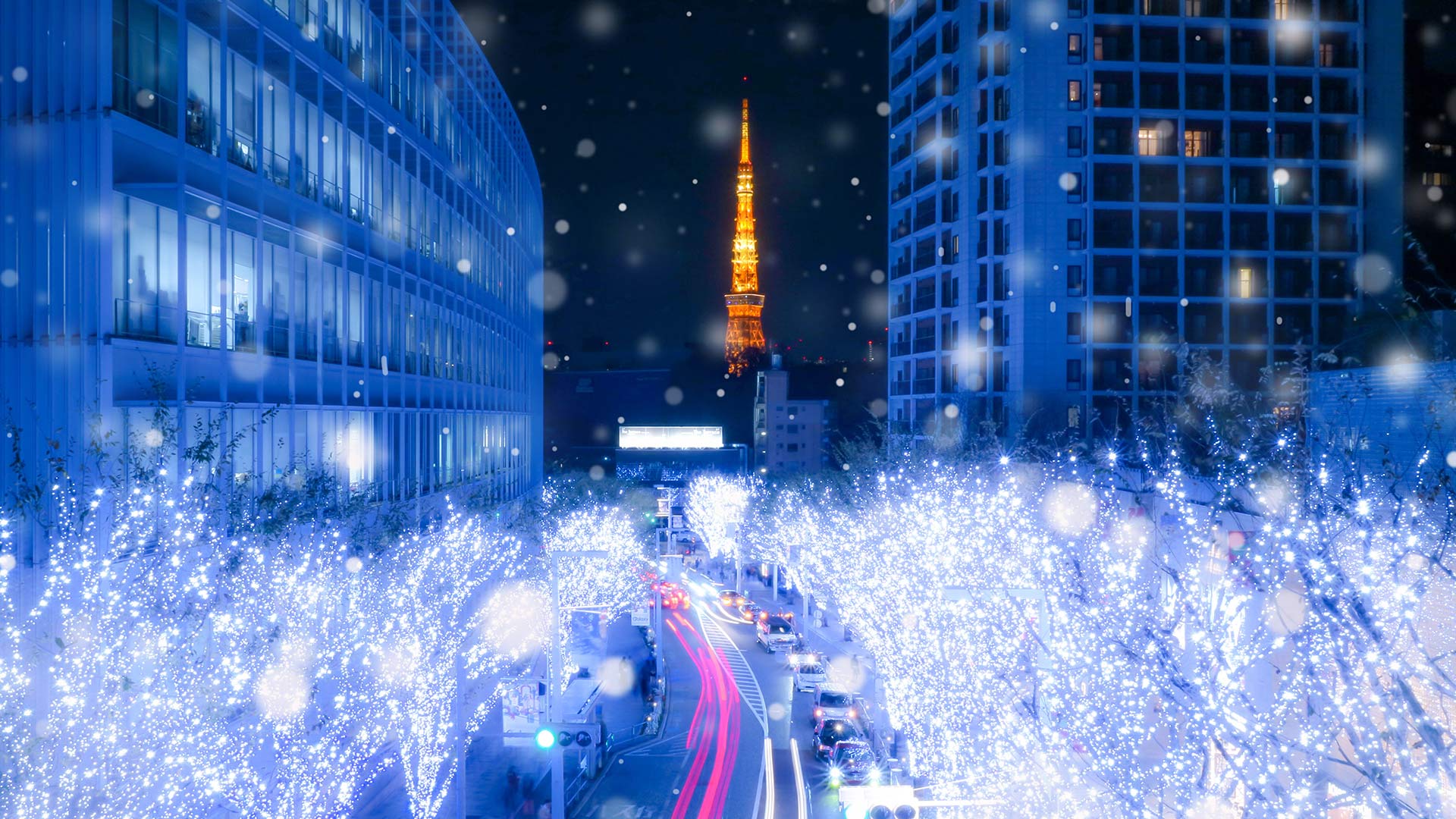 六本木けやき坂のイルミネーション, 東京 (© YUJISTYLE/iStock/Getty Images Plus)(Bing Japan)