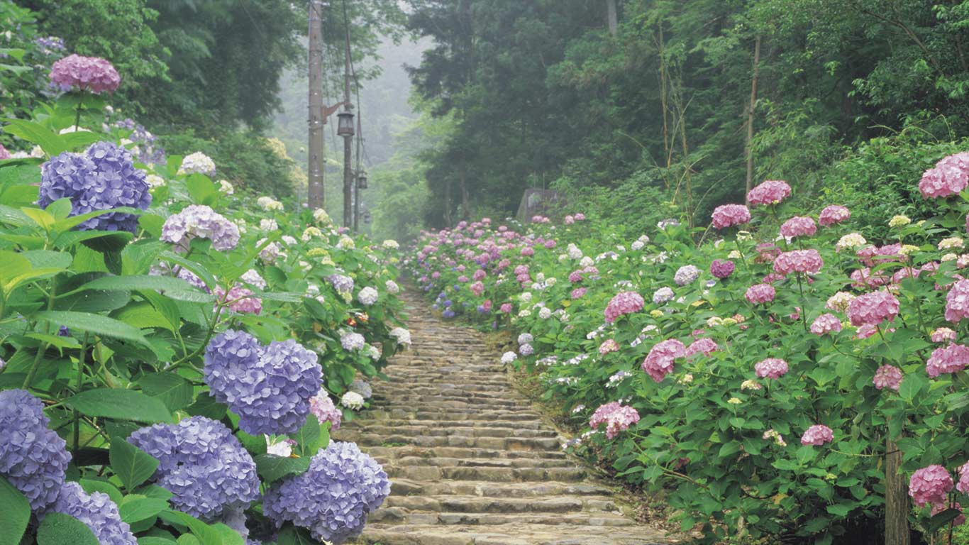 ｢太平山県立自然公園｣栃木, 栃木市 (© JTB Photo/SuperStock)(Bing Japan)