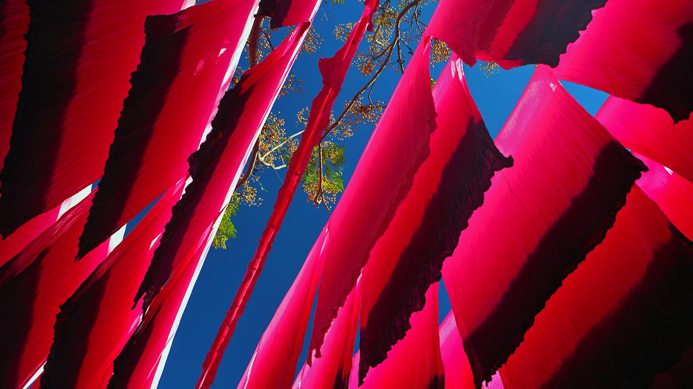 印染后被挂起来的丝绸， 马拉喀什，摩洛哥 (© David Noton Photography/Alamy)(Bing China)