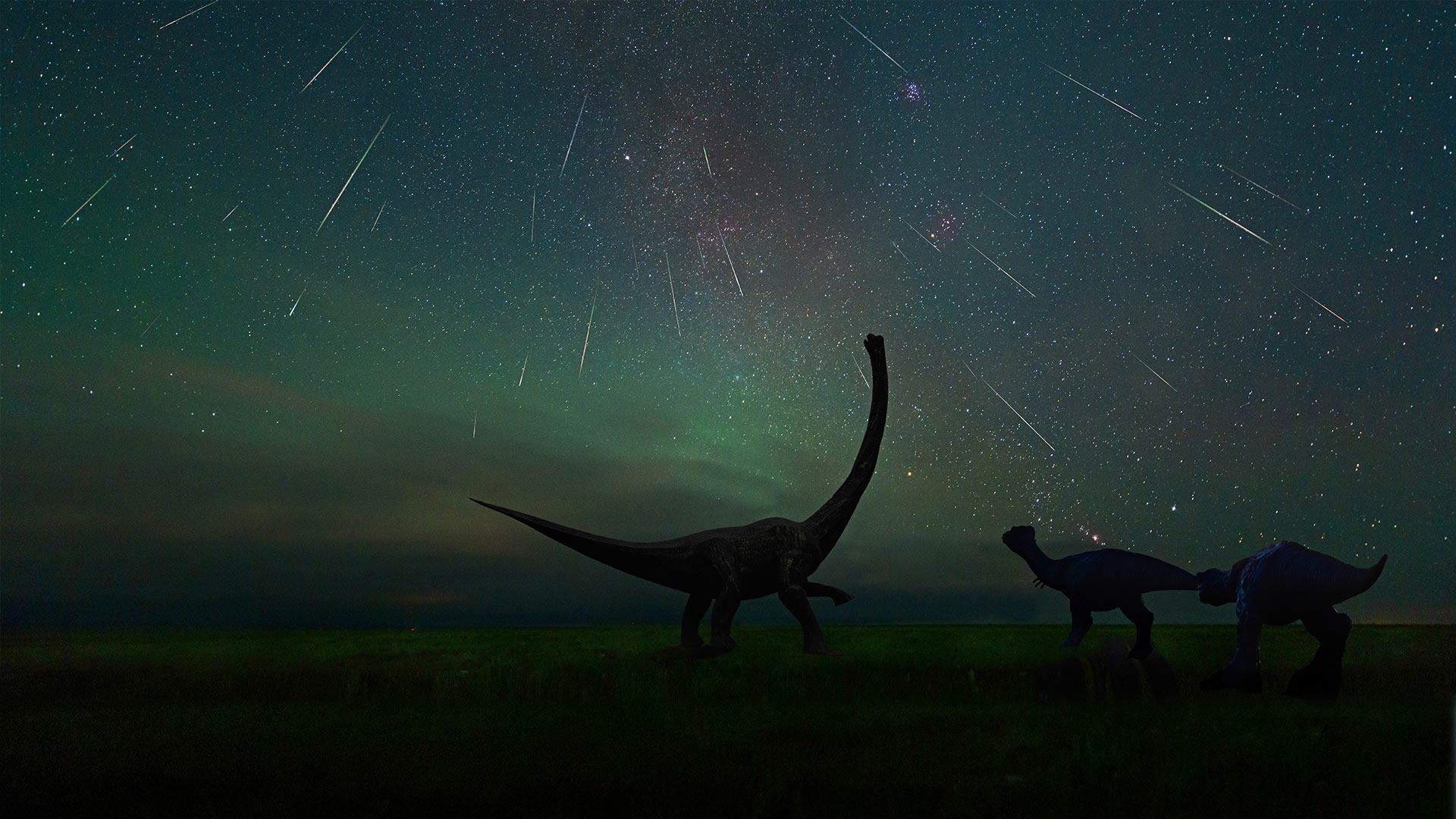 拍摄于二连浩特恐龙博物馆中的英仙座流星雨，中国内蒙古 (© bjdlzx/Getty Images)(Bing China)