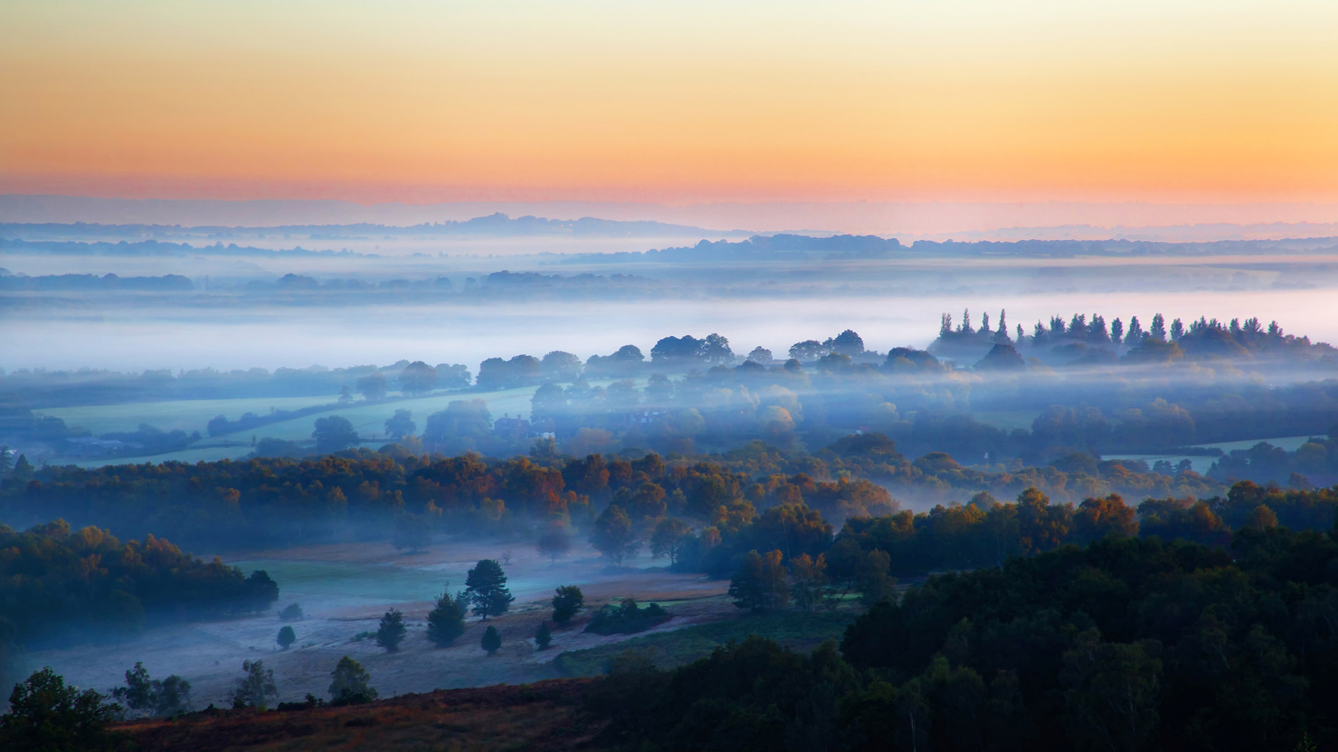 亚士顿森林薄雾日出，英国东萨塞克斯郡 (© Tim Stocker Photography/Getty Images)(Bing China)