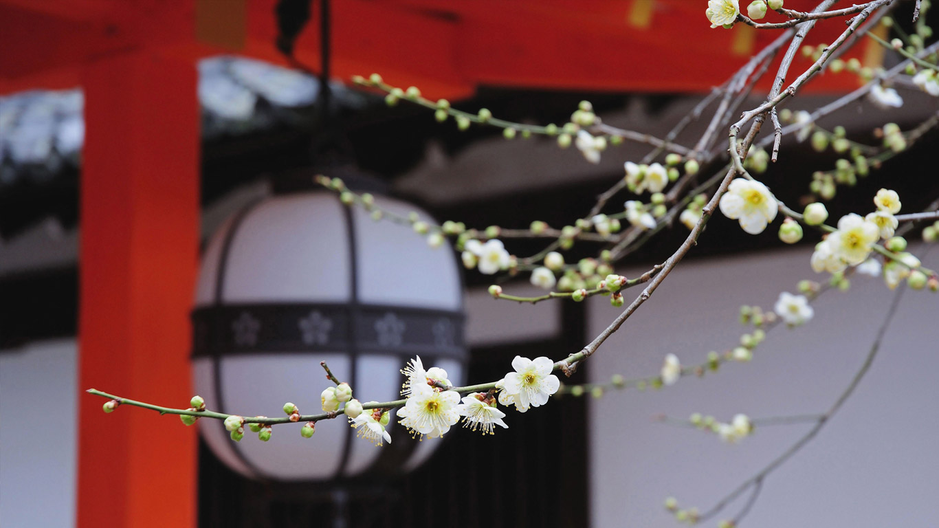 ｢北野天満宮｣京都, 上京区 (© Shin Terada/DanitaDelimont.com)(Bing Japan)