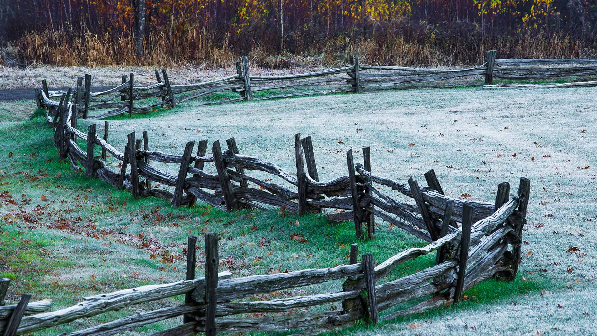 A frost covered grass field with trees in autumn colours; Iron Hill, Quebec (© plainpicture/Design Pics/David Chapman)(Bing Canada)