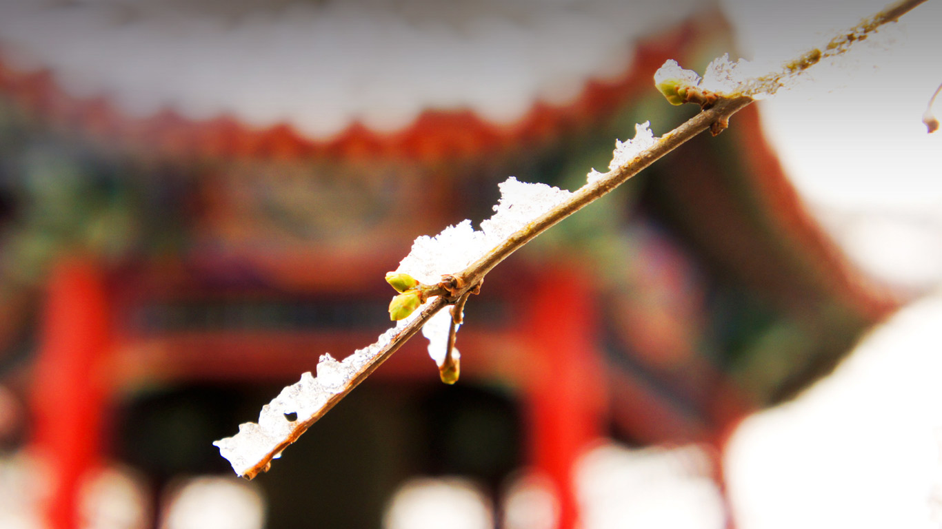 清华大学闻亭小雪 (© Yu Cui)(Bing China)