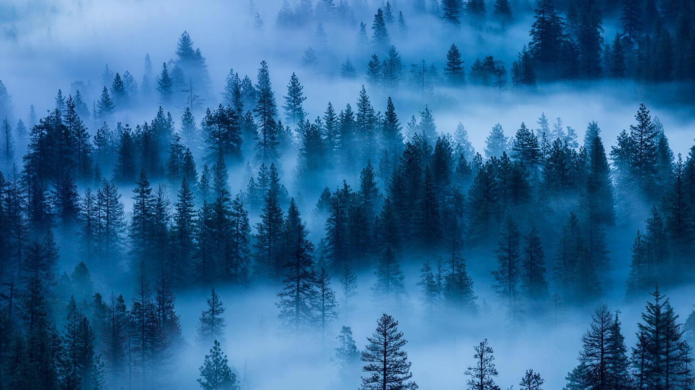 优胜美地国家公园，美国加利福尼亚州 (© Grant Ordelheide/Tandem Stills + Motion)(Bing China)