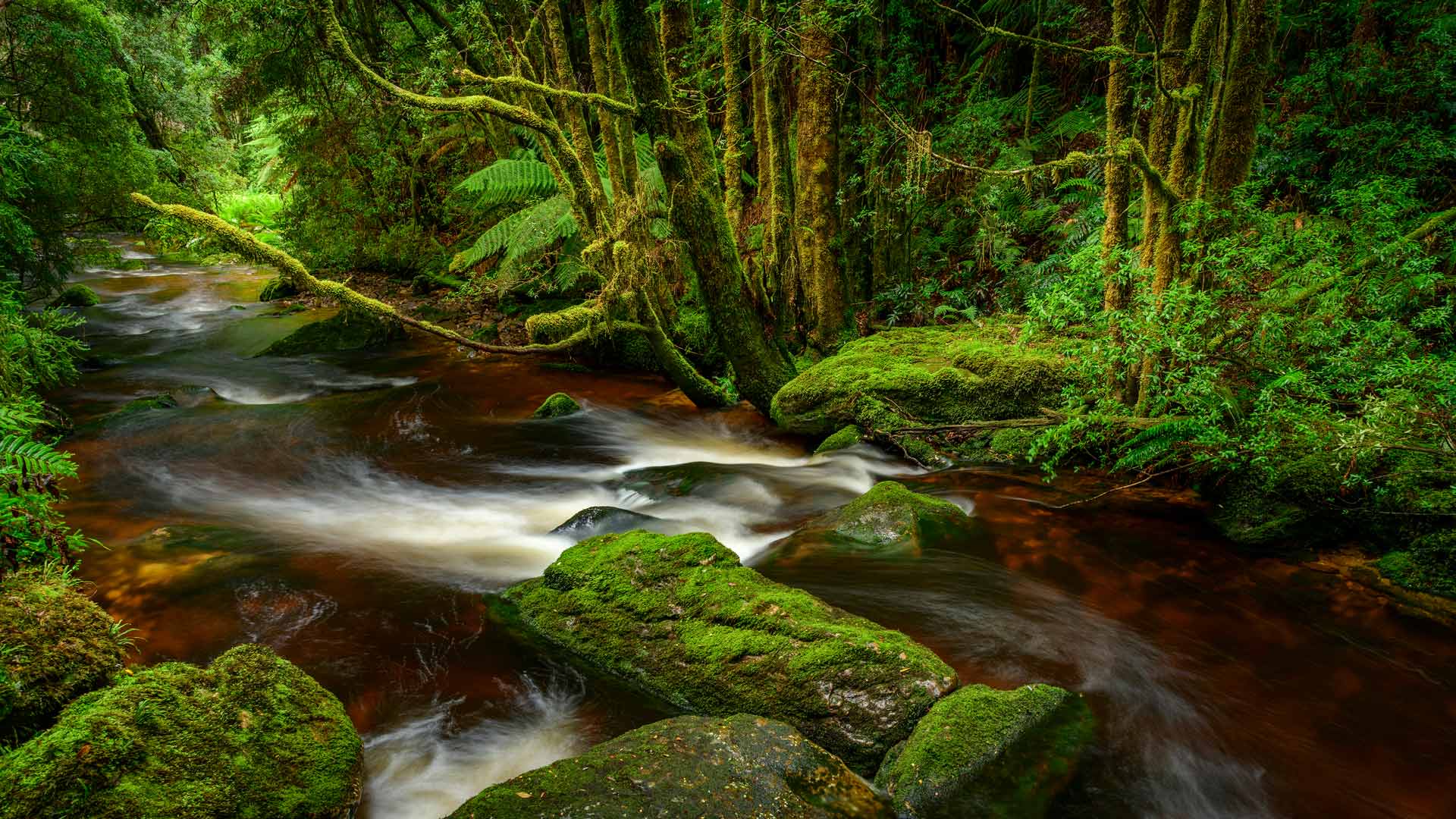 Franklin-Gordon Wild Rivers National Park, Tasmania (© Heeb Photos/eStock Photo)(Bing Australia)
