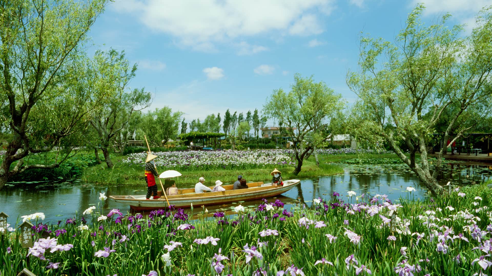 ｢水郷佐原あやめパーク｣ 千葉県香取市 (© MIXA/Getty Images)(Bing Japan)