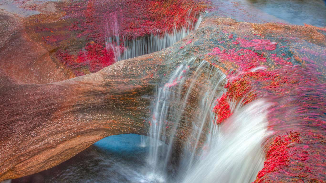 马卡雷纳山脉的五色河，哥伦比亚 (© Tom Till/Alamy)(Bing China)