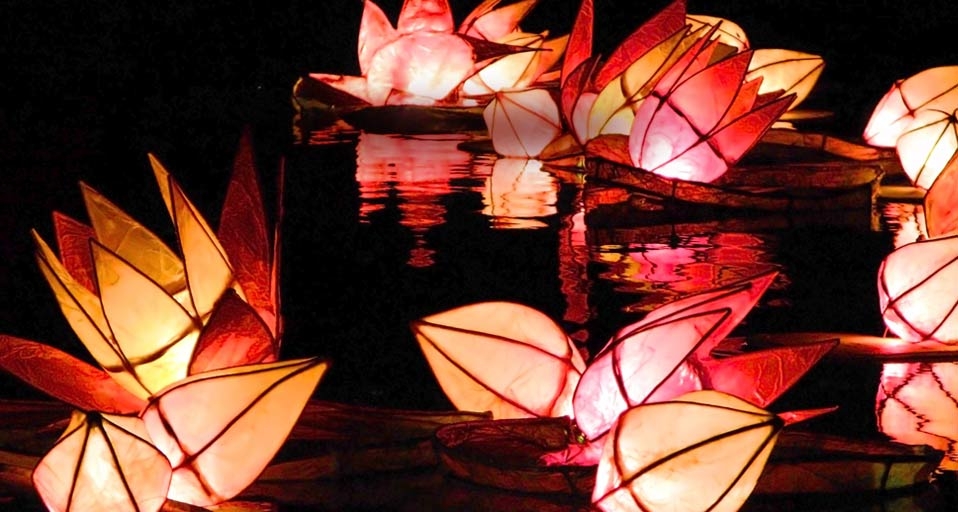 Candlelit lanterns are set adrift during the Diwali celebrations in Trafalgar Square, London (© Darren Lehane/Getty Images) &copy; (Bing Canada)