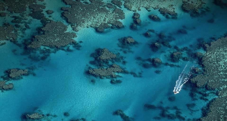 Great Barrier Reef, between Cairns and Townsville Australia -- Yann Arthus-Bertrand/Terra Standard RM/Corbis &copy; (Bing United States)