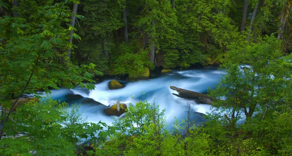McKenzie River below Tamolitch Falls, Willamette National Forest, Oregon -- George Ostertag/Age Fotostock/Photolibrary &copy; (Bing Canada)
