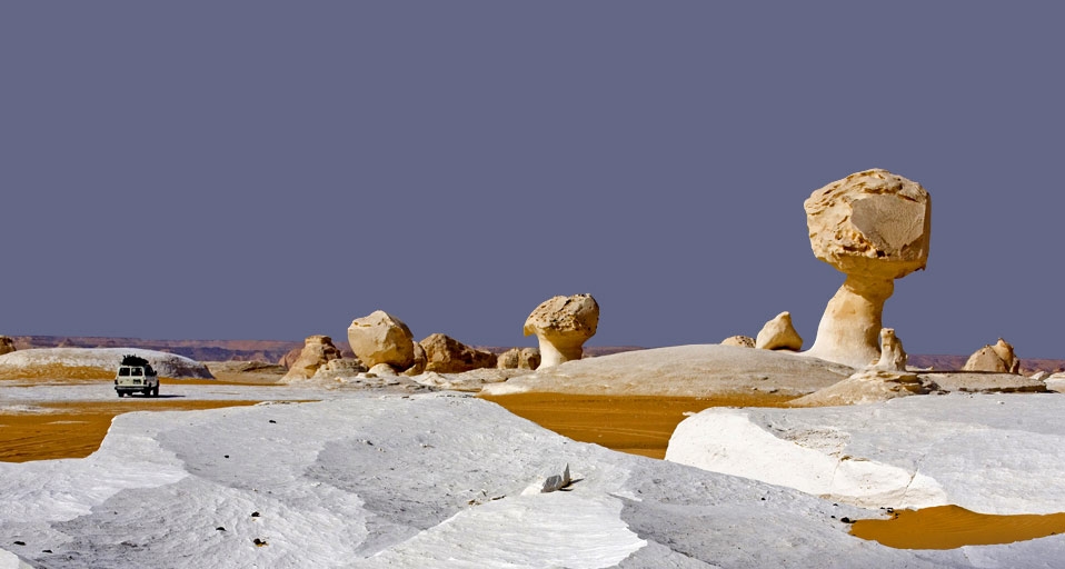 S. Tauqueur/Photolibrary &copy; (Bing Australia)