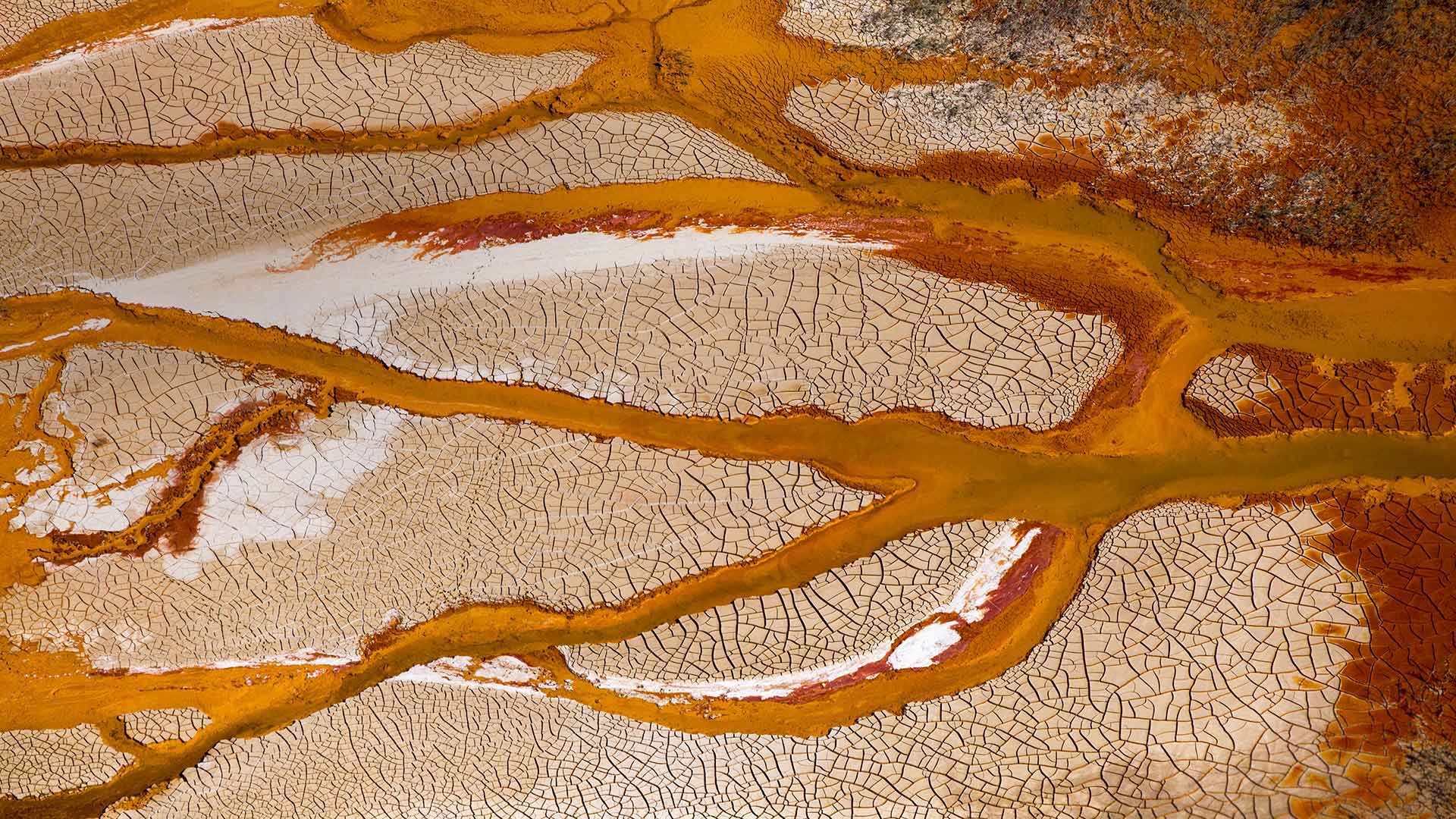 力拓河，西班牙 (© Oscar Diez Martinez/Minden Pictures)(Bing China)