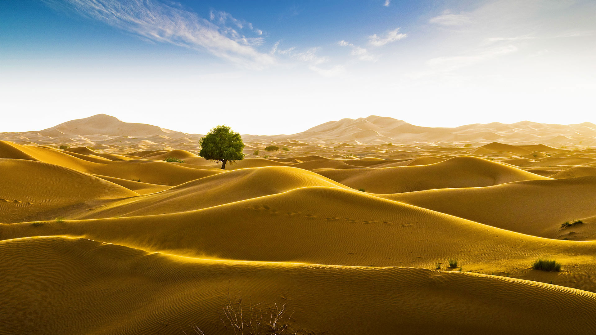 位于阿曼和迪拜酋长国边界的鲁卜哈利沙漠 (© Daniel Schoenen/Offset by Shutterstock)(Bing China)
