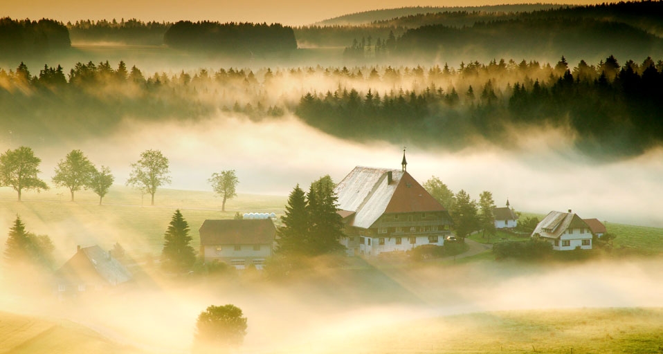 德国巴登符腾堡州黑森林的晨雾 (© PS Belenos/Huber/4Corners) &copy; (Bing China)