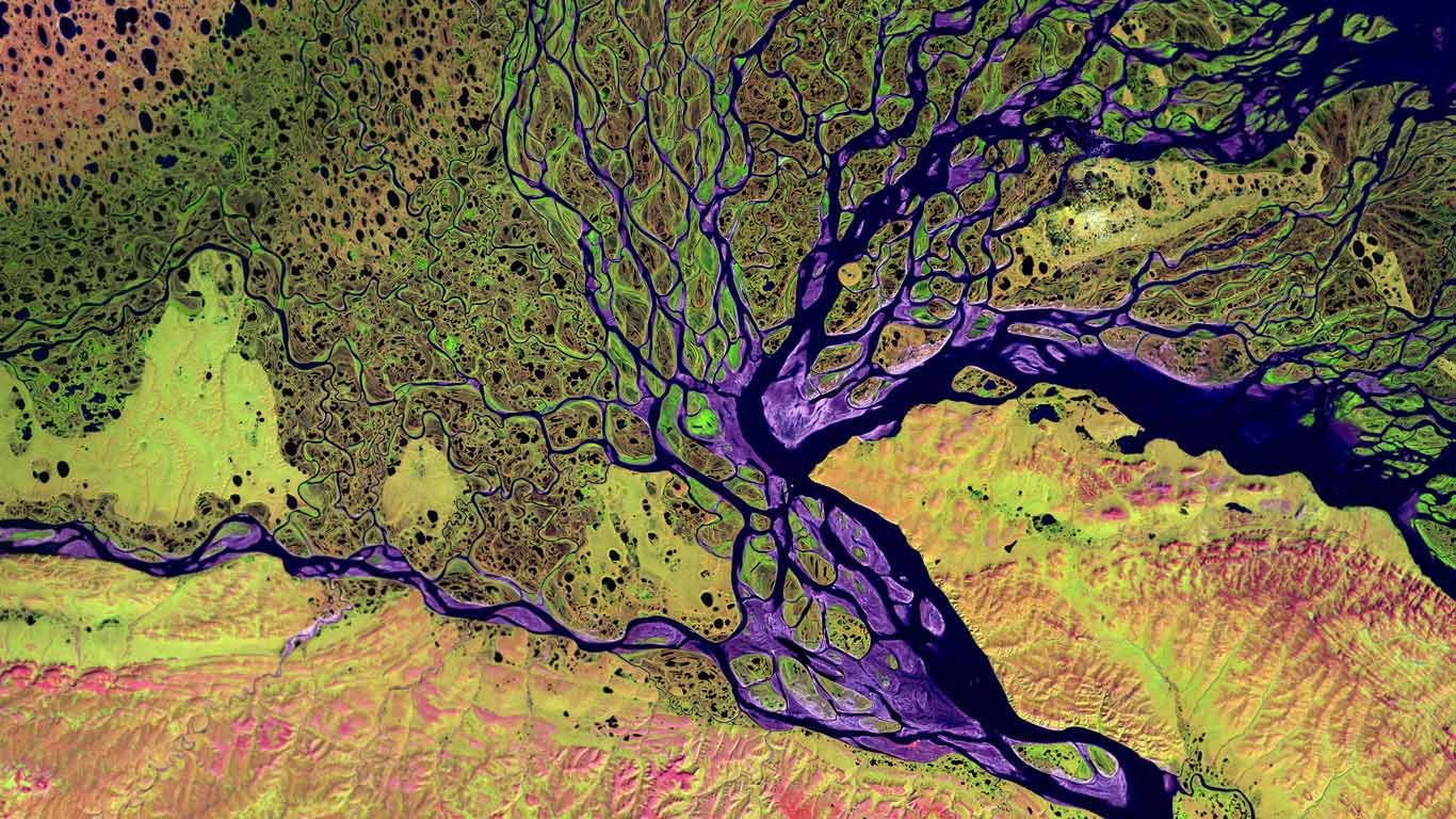 位于西伯利亚的勒拿河三角洲野生动物保护区，俄罗斯 (© USGS EROS Data Center/NASA)(Bing China)