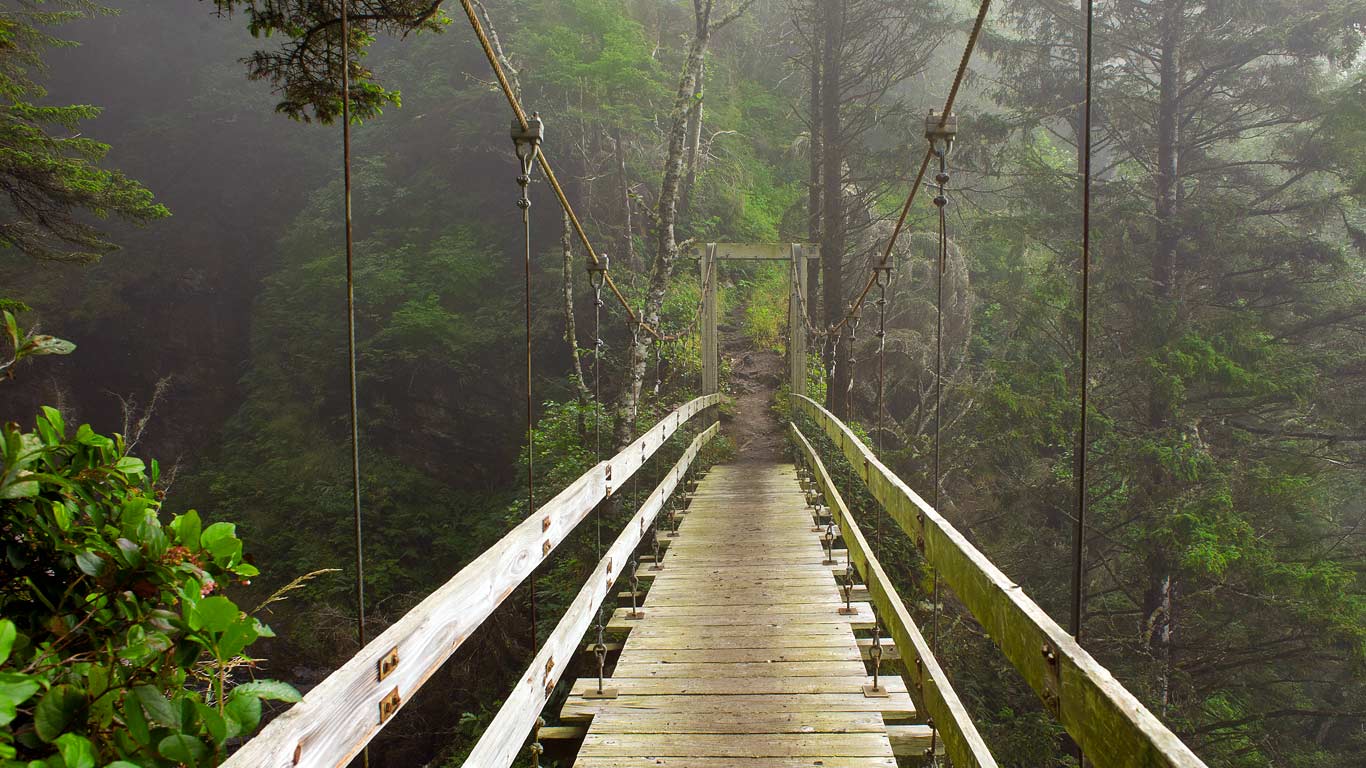 Hanging bridge across Tsocowis Creek, West Coast Trail on Vancouver Island, British Columbia, Canada (© Sergio Ballivian/Tandem Stock)(Bing Canada)