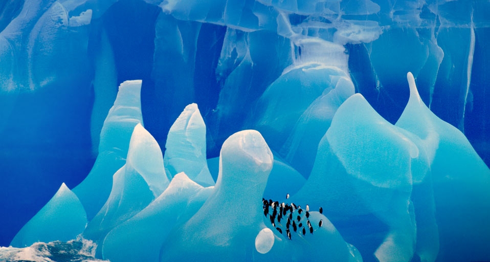 南极冰川上的企鹅 -- Frans Lanting/Corbis &copy; (Bing China)