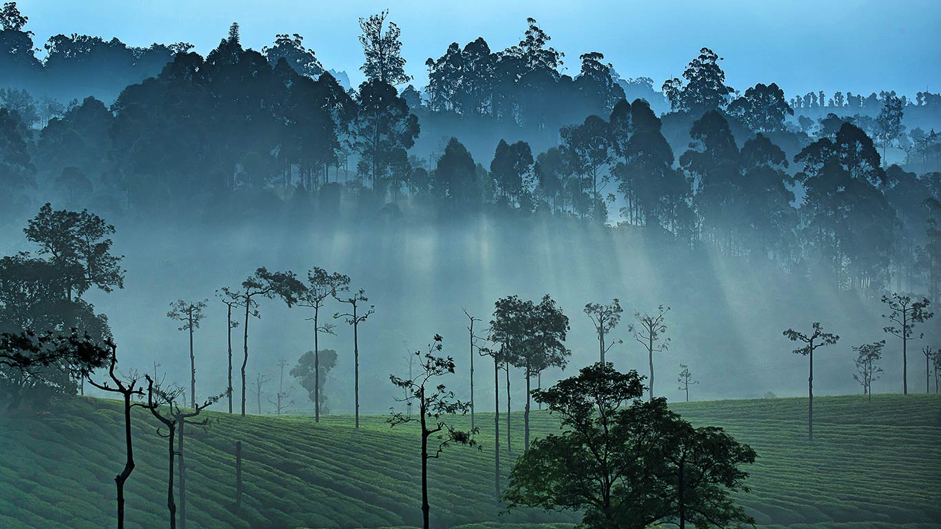 Western Ghats, India (© Munish Palaniappan/500px)(Bing New Zealand)