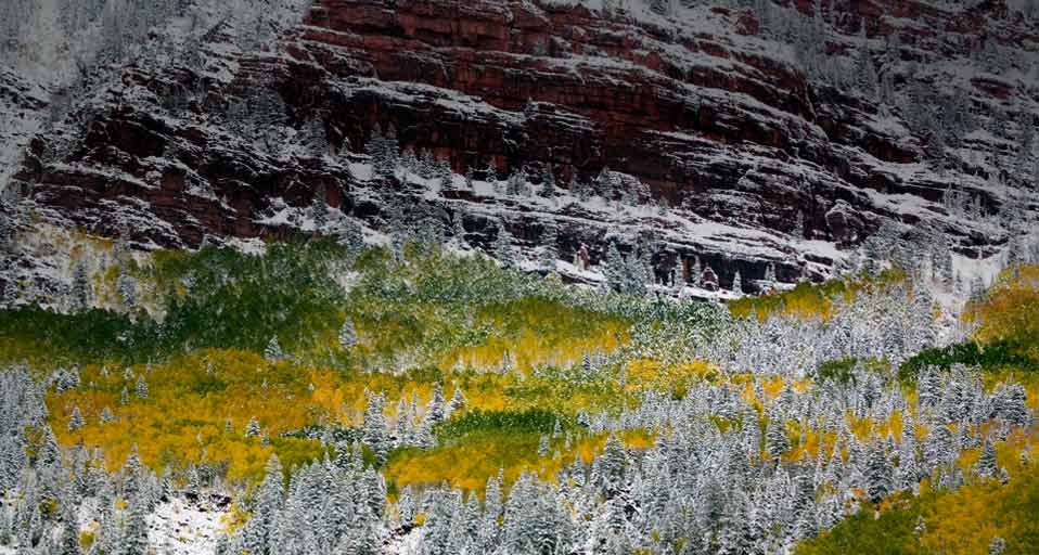 科罗拉多州白杨与岩壁上的雪 (© Terry Eggers/Danita Delimont) &copy; (Bing China)