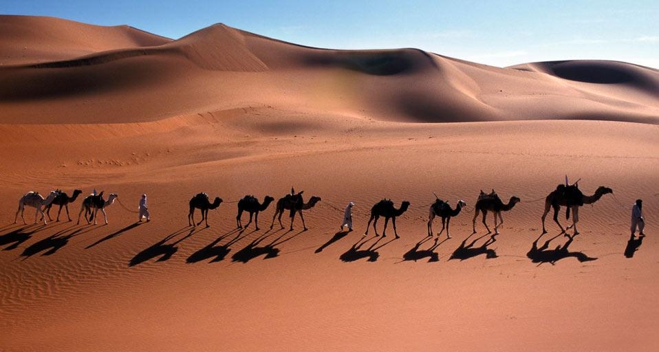 经过撒哈拉沙漠的骆驼商队 (© Frans Lemmens/Super Stock) &copy; (Bing China)
