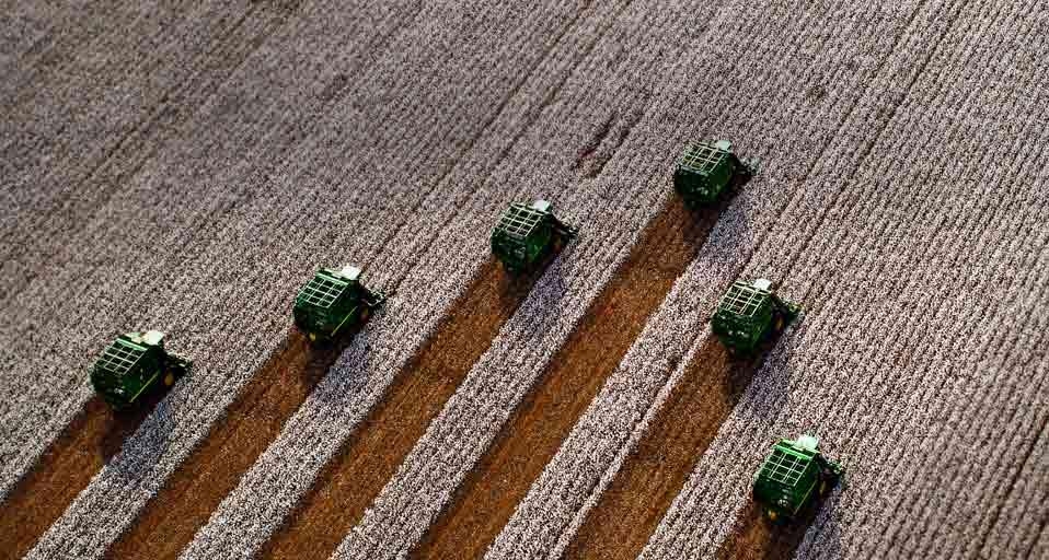 Harvesting cotton in Costa Rica (© Fernando Bueno/Getty Images) &copy; (Bing Canada)