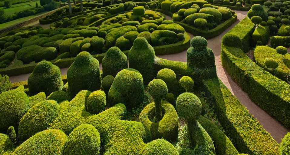 Sculpted boxwoods at the Château de Marqueyssac in Vézac, France (© Peet Simard/Corbis)(Bing Canada)