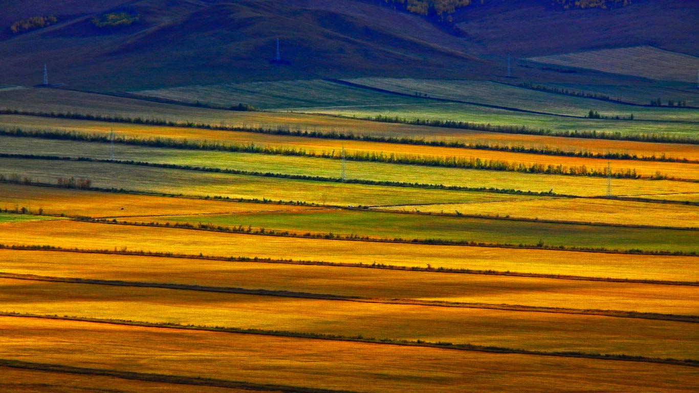 【今日立秋】内蒙古呼伦贝尔草原，中国 (© Sino Images/Getty Images)(Bing China)