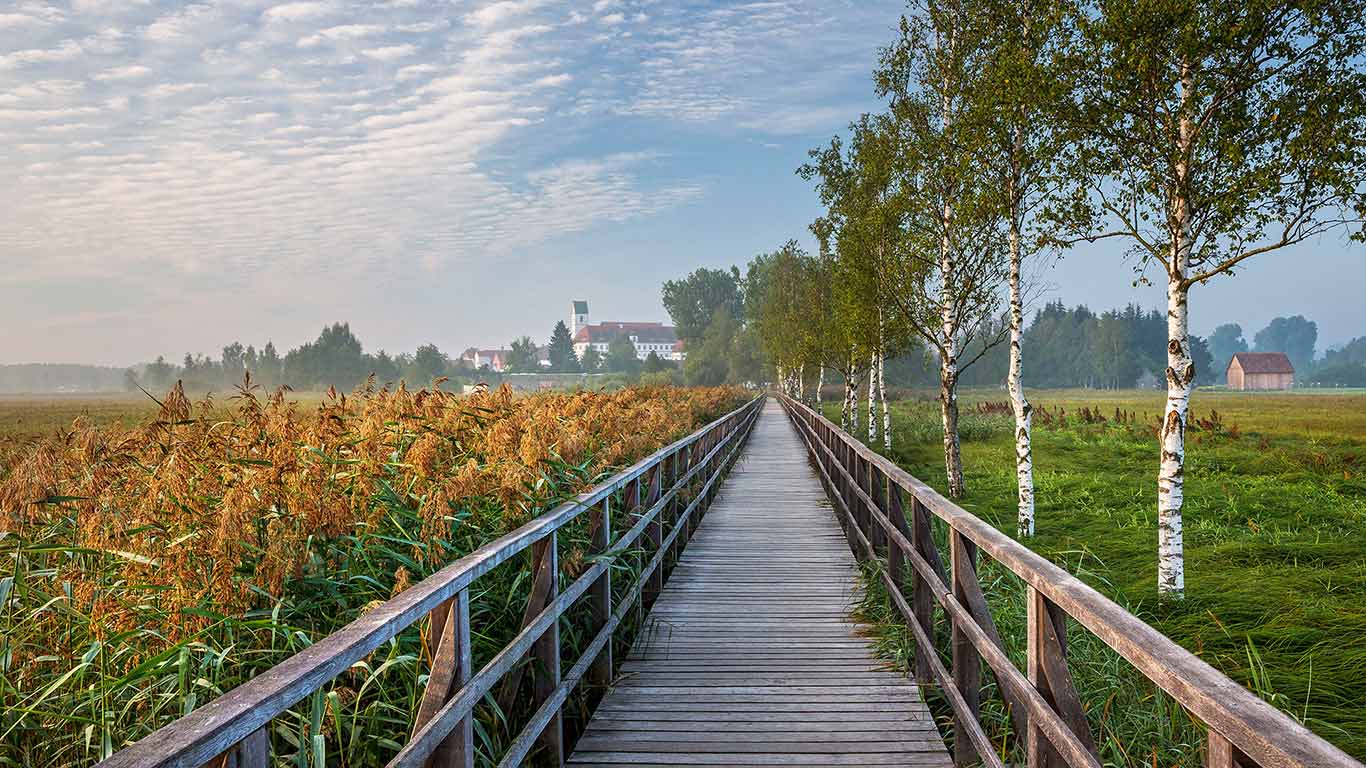 Federseesteg bei Bad Buchau, Baden-Württemberg, Deutschland (© Huber/Sime/eStock Photo)(Bing Deutschland)