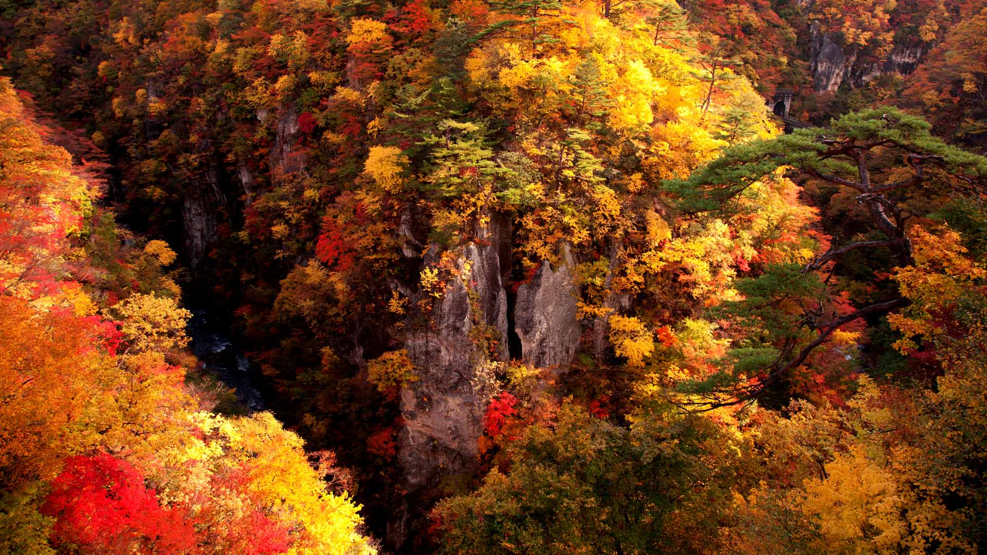 ｢鳴子峡の紅葉｣宮城, 大崎市 (© Takaaki Motohashi/Sebun Photo)(Bing Japan)