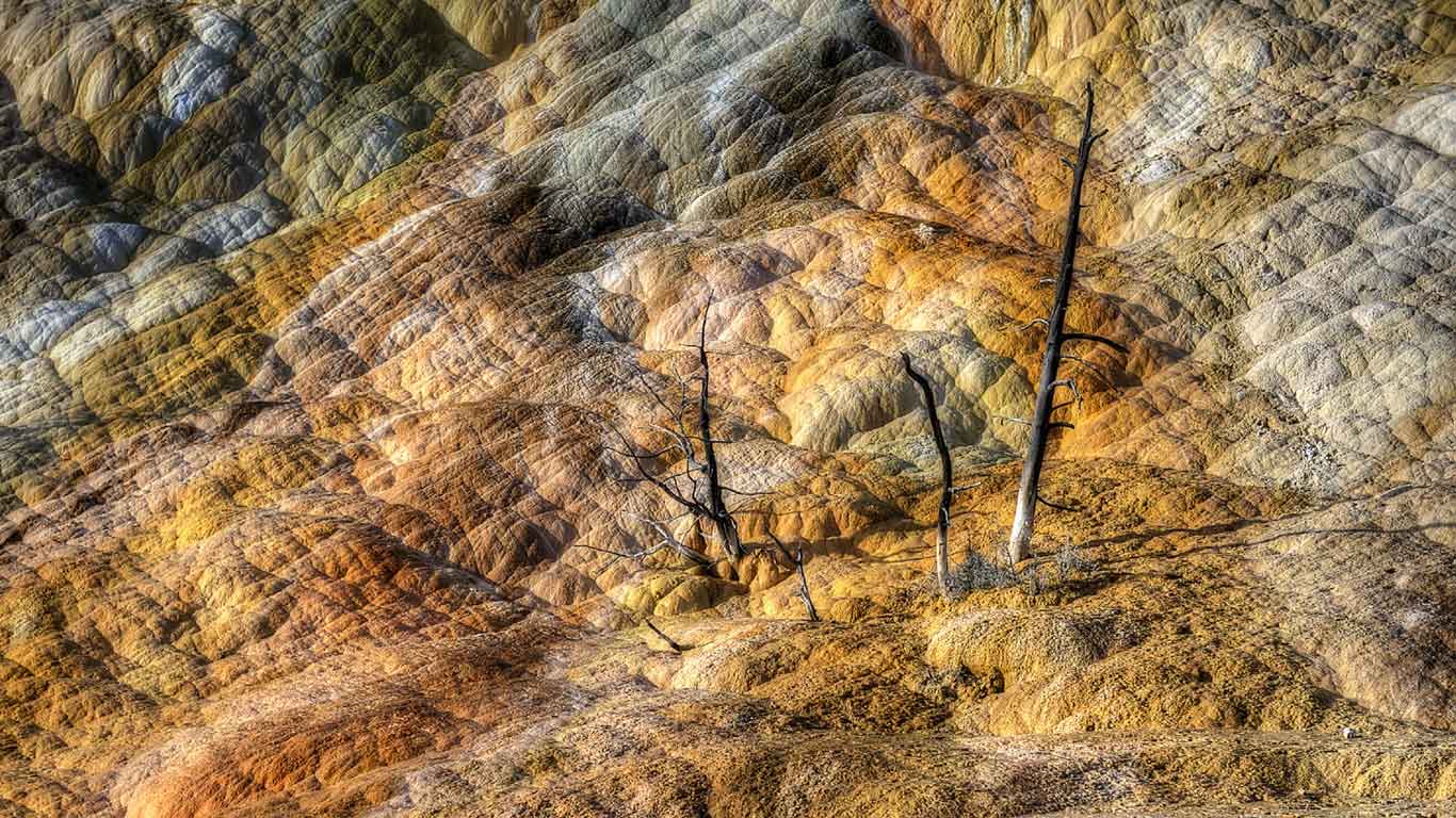 Mammoth Hot Springs, Yellowstone National Park, Wyoming (© Dmitrii Lezine)(Bing United States)