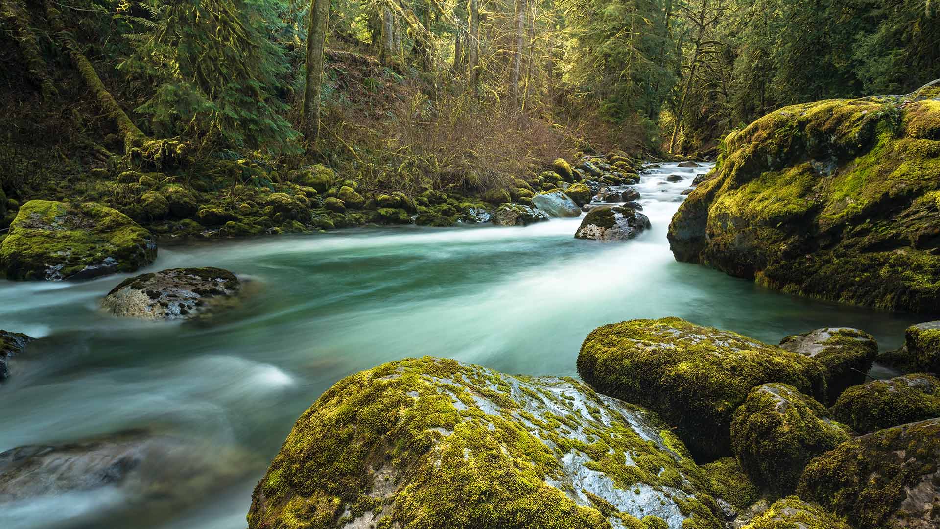 Tamihi Creek, British Columbia, Canada (© Jason Wilde/TANDEM Stills + Motion)(Bing Australia)