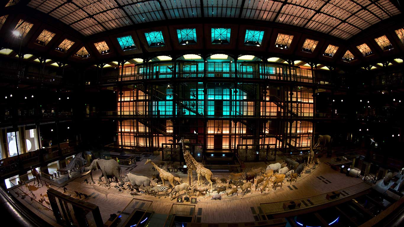 Grande galerie de l’Évolution, Muséum national d’histoire naturelle à Paris (© Joel Saget/AFP/Getty Images)(Bing France)