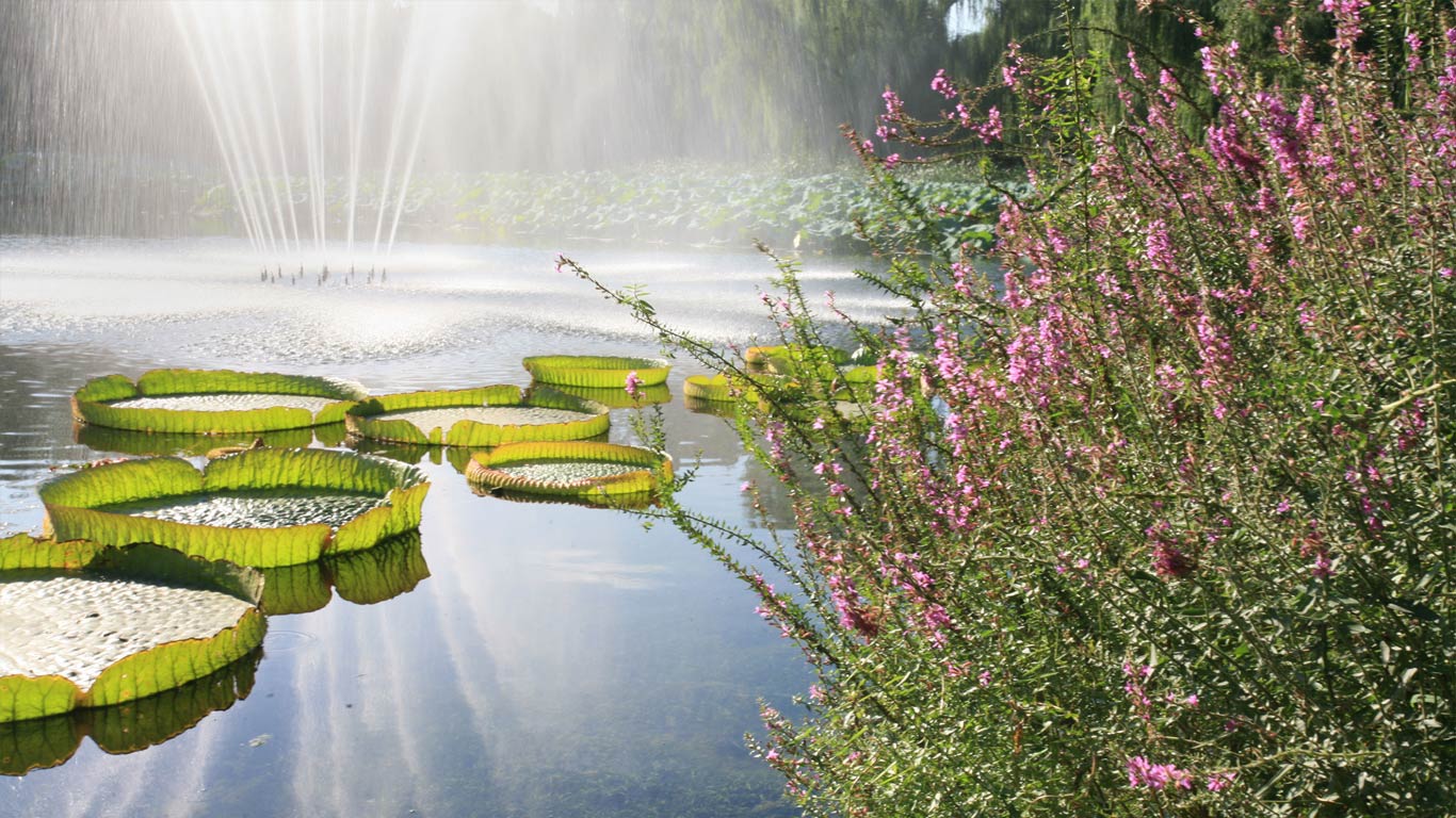 北京圆明园，湖中的喷泉 (© zhu difeng/Alamy)(Bing China)