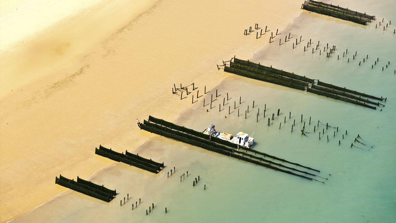 Vue aérienne d’un élevage de moules à Boyardville dans la commune de Saint-Georges-d’Oléron, Charente-Maritime, région Poitou-Charentes (© Francis Leroy/Corbis)(Bing France)