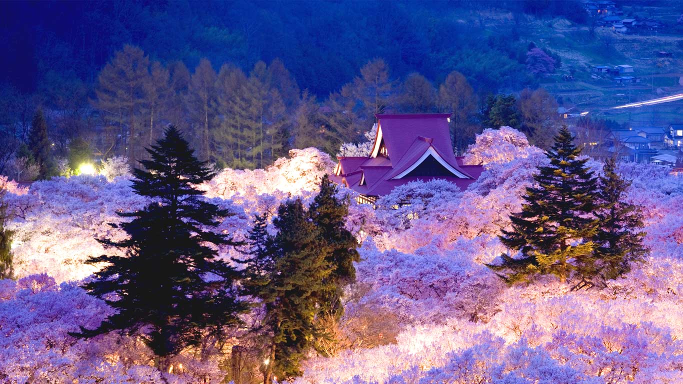 ｢高遠の桜｣長野, 高遠城址公園 (© JTB MEDIA CREATION, Inc./JTB MEDIA CREATION, Inc./Alamy)(Bing Japan)