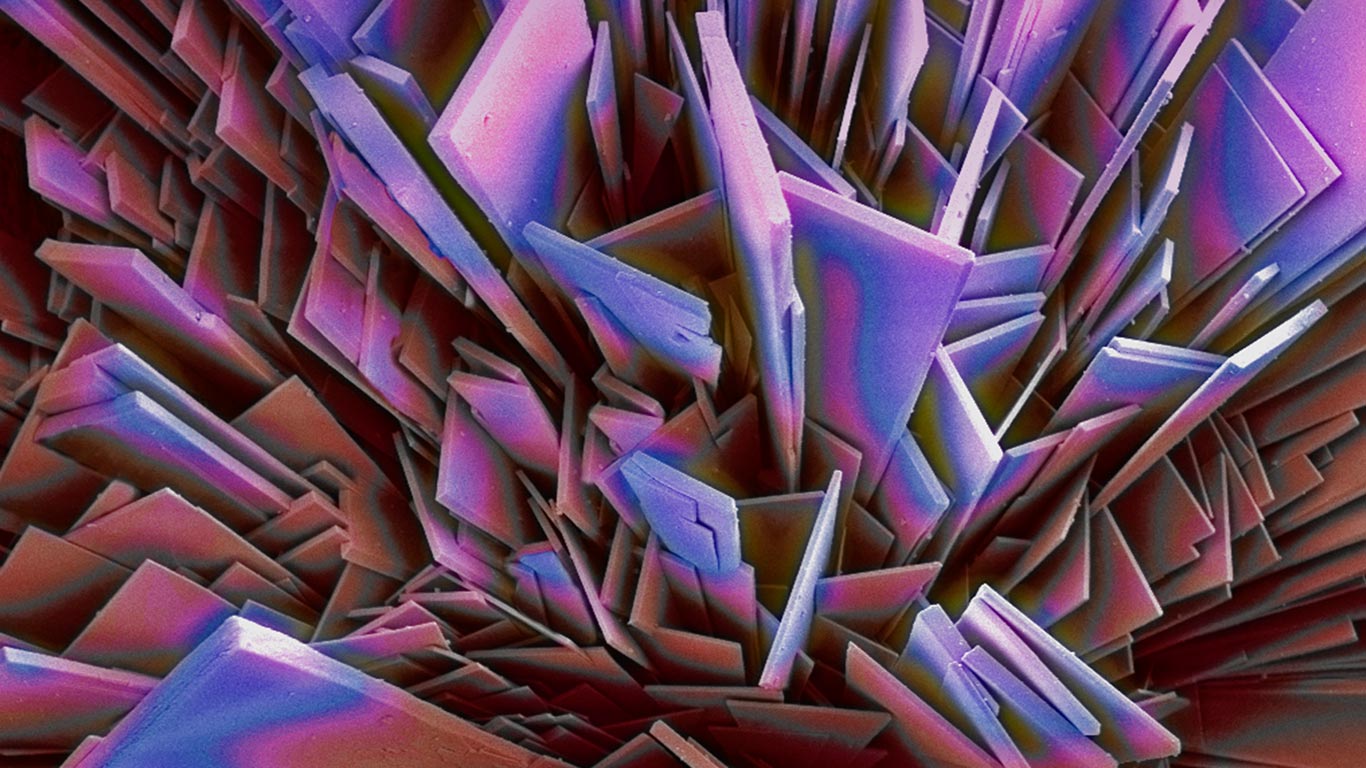 Phosphate crystals magnification (© Steve Gschmeissner/Getty Images)(Bing Canada)