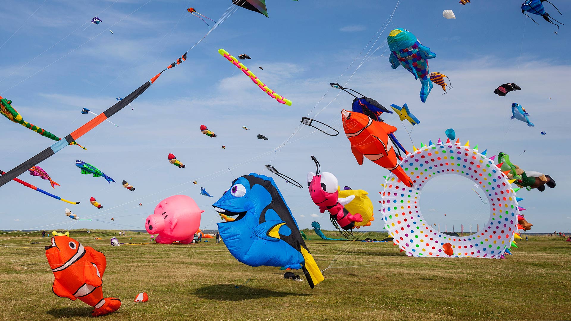 Bunte Drachen in Schillig, Wangerland, Niedersachsen (© MAURITIUS/Mauritius/SuperStock)(Bing Deutschland)