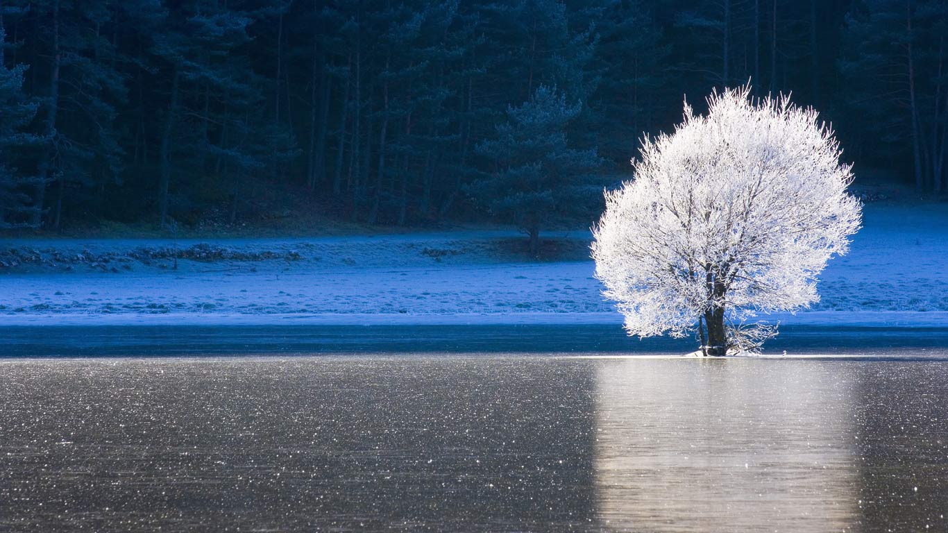 Lac gelé à Caille, Alpes-Maritimes, Provence-Alpes-Côte d’Azur (© Jean-Pierre Pieuchot/Getty Images)(Bing France)