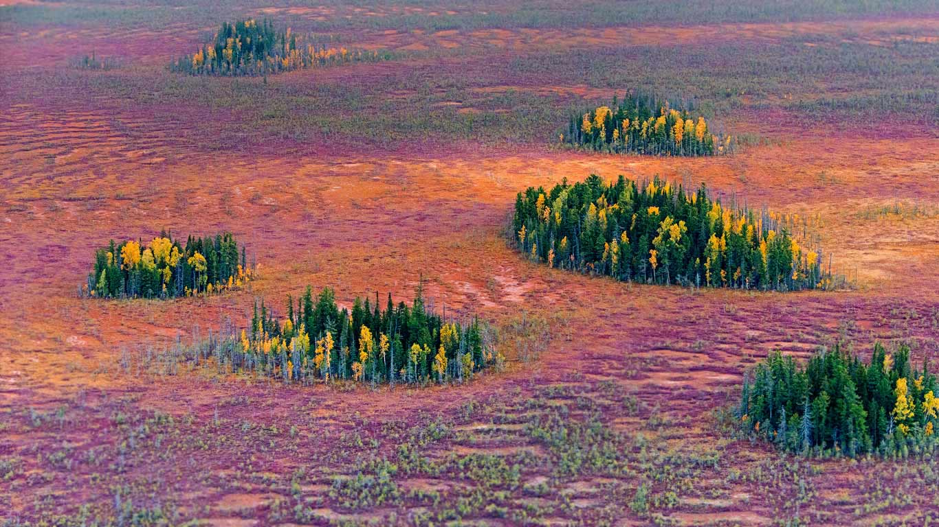 西伯利亚东部针叶林的秋天， 俄罗斯 (© Serguei Fomine/500px)(Bing China)